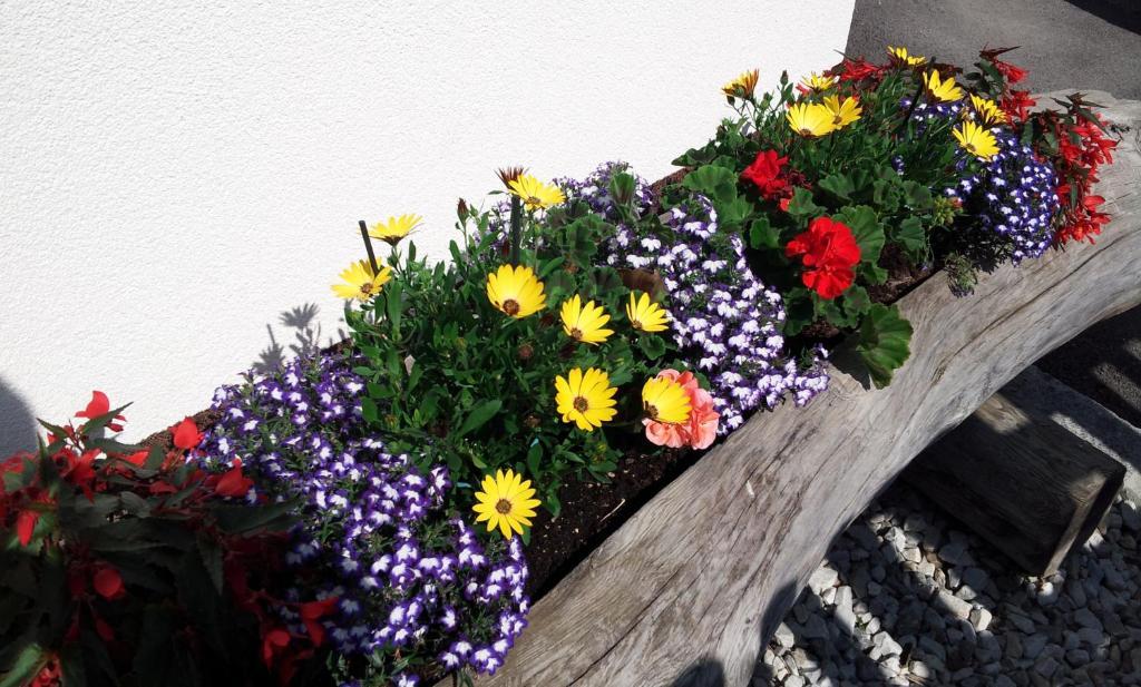 Haus Rosmarie Apartment Neustift im Stubaital Bilik gambar